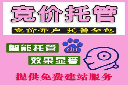 SEM服务托管：经典案例分析及优化策略